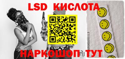 тгк Шебекино