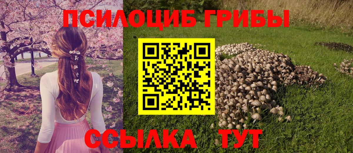 Можайск  Галлюциногенные грибы мухоморы  Галлюциногенные грибы MAGIC MUSHROOMS  Вход с VPN 